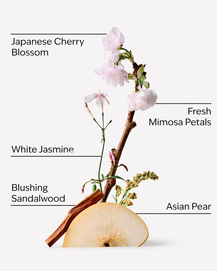 Bath & Body Works Japanese Cherry Blossom Moisturizing Conditioner 473 ml